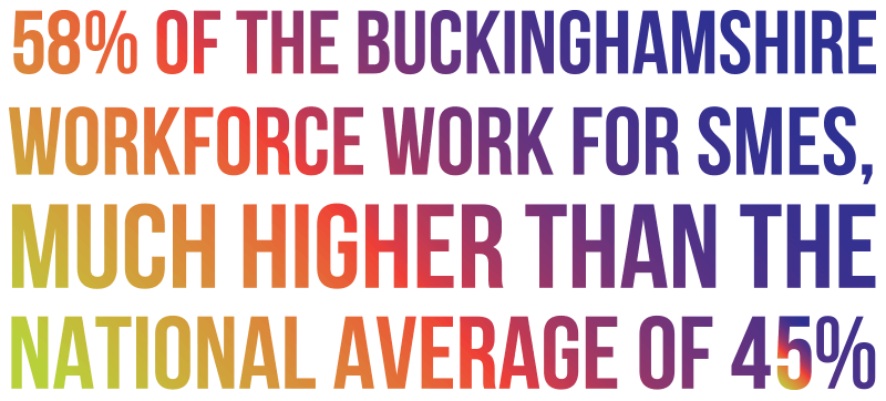 Bucks LEP Annual Report 2022 Bucks Skills Offer Stats 02